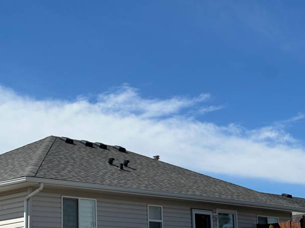 Best Solar Panel Roofing Installation  in Humboldt Hill, CA